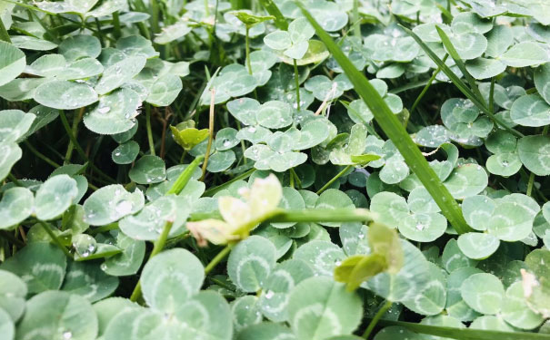 保定中级经济师培训班