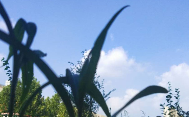 邢台中级经济师培训班