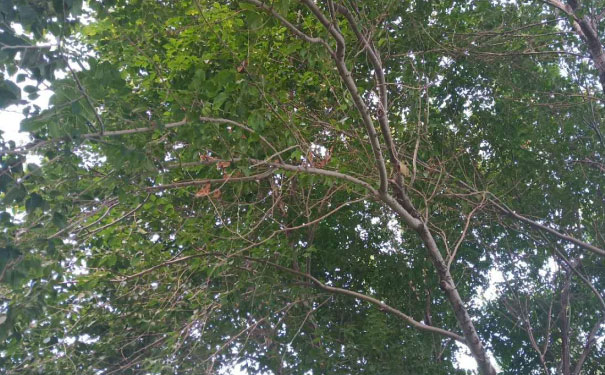 朔州中级经济师培训班