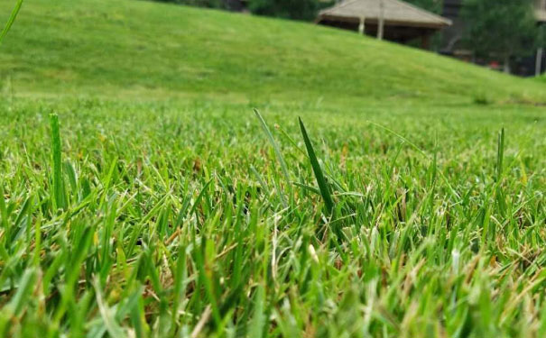 西安消防设施操作员培训班 