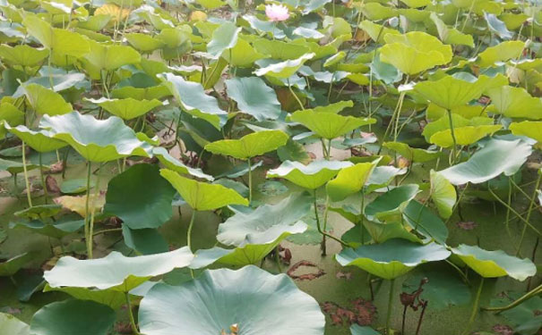 宝鸡消防设施操作员培训班