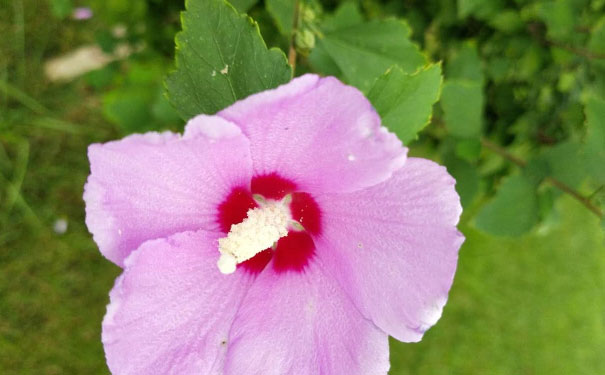 太原中级经济师培训班