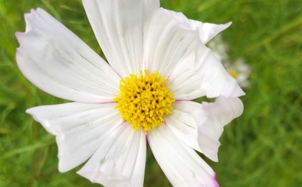 深圳消防设施操作员培训班