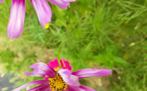 惠州消防设施操作员培训班