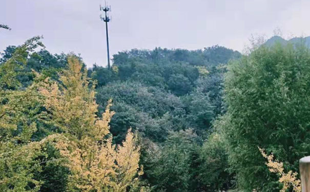 珠海消防设施操作员培训班 