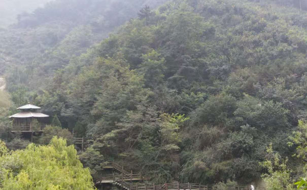 济南中级经济师培训班 