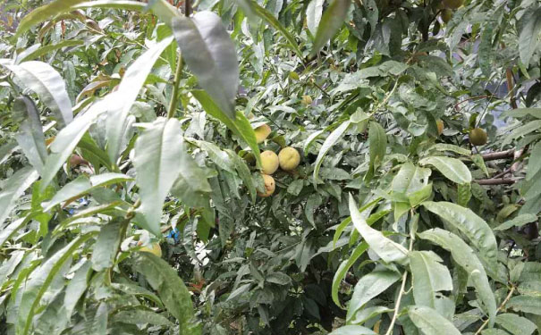 扬州中级经济师培训班