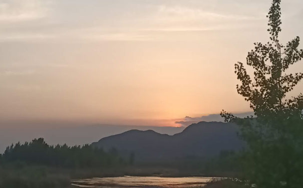 连云港中级经济师培训班