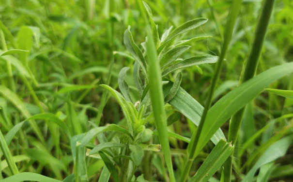 蚌埠中级经济师培训班 