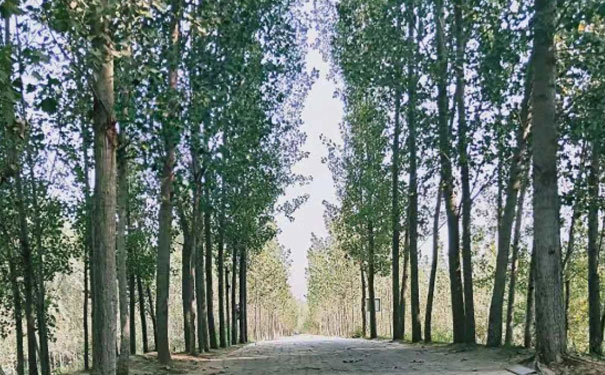 南昌中级经济师培训班