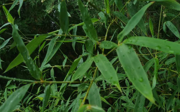 玉溪中级经济师培训班