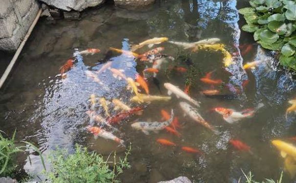 孝感中级经济师培训班