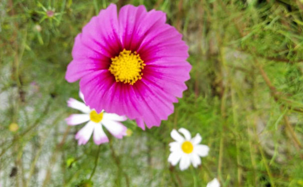 宜昌中级经济师培训班