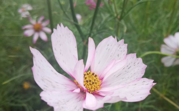 宜宾中级经济师培训班