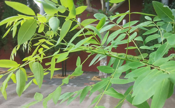 泸州中级经济师培训班