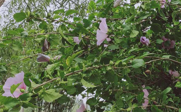 乐山中级经济师培训班