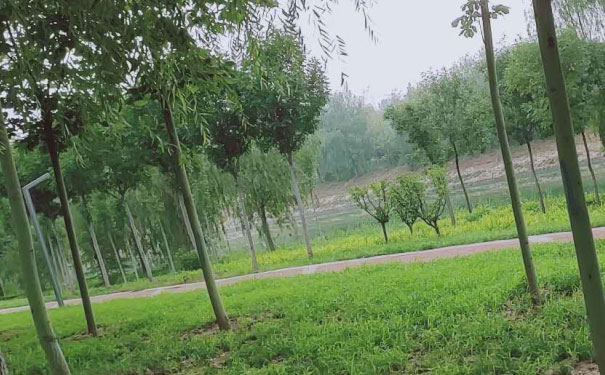 达州中级经济师培训班