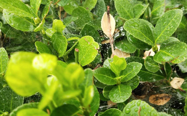 渭南中级经济师培训班 