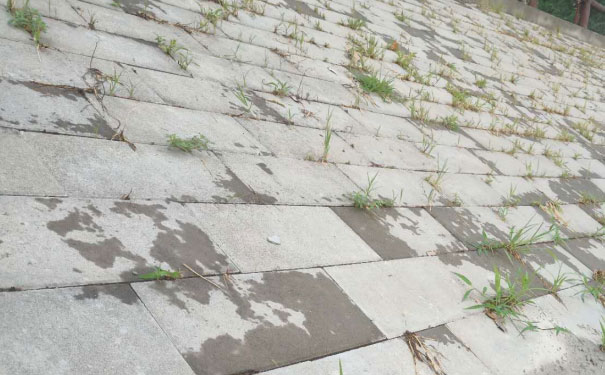广州中级经济师培训班