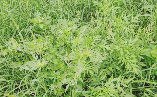 保定消防工程师培训班