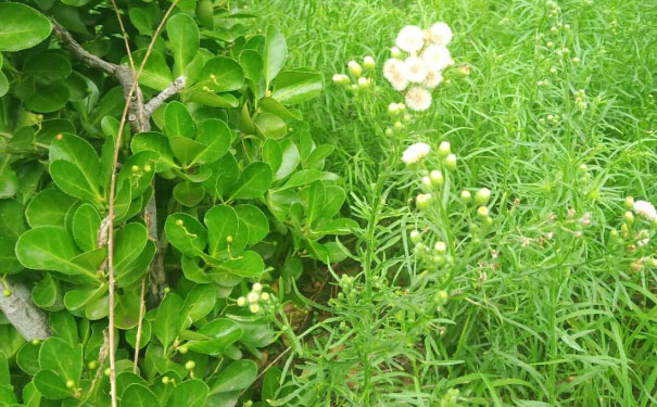 包头消防工程师培训班