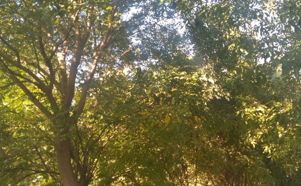 潍坊消防工程师培训班