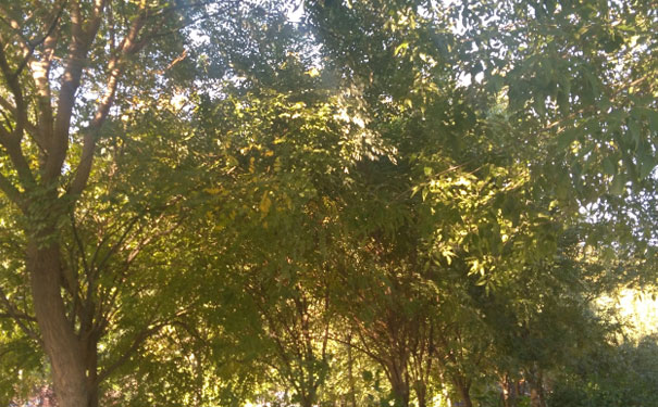 阜阳消防工程师培训班