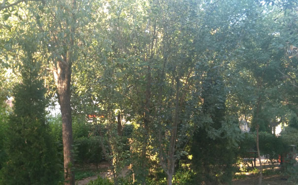 淮南消防工程师培训班