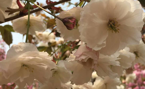 厦门消防工程师培训班