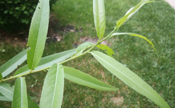 娄底消防工程师培训班