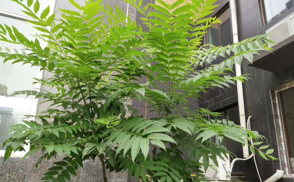 黄石消防工程师培训班