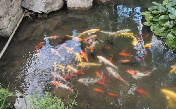 绵阳消防工程师培训班