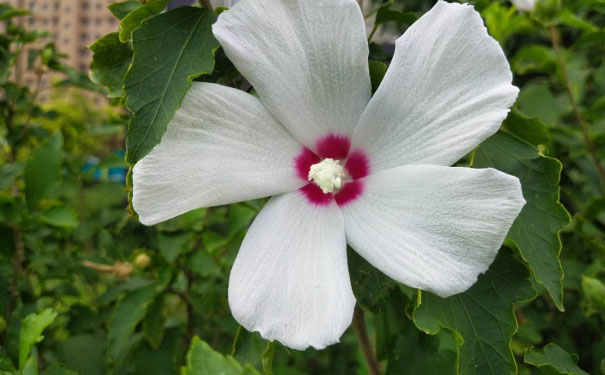 遂宁消防工程师培训班 