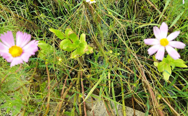 红河消防工程师培训班