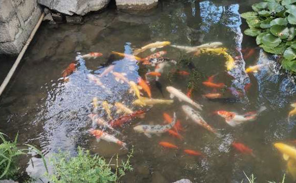 黑龙江消防设施操作员培训班