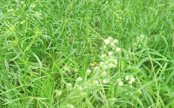 深圳福田区青少年英语培训班