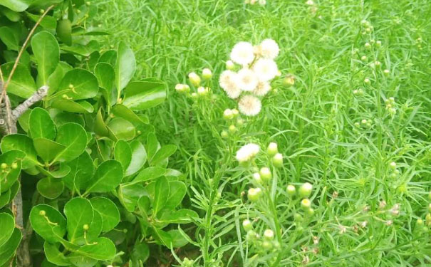 深圳宝安区青少年英语培训班