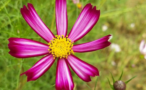 长沙岳麓区青少年英语培训班 