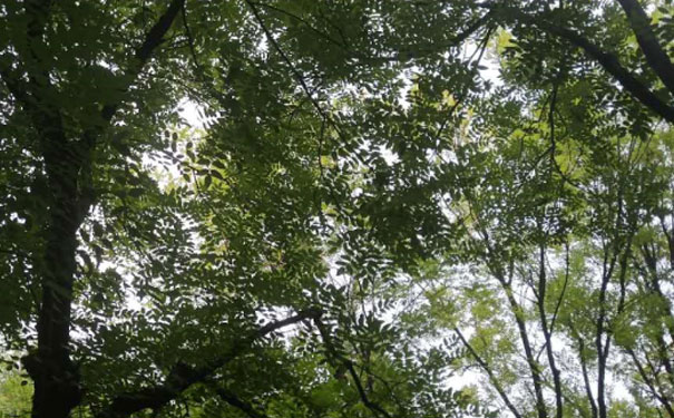 长沙雨花区青少年英语培训班