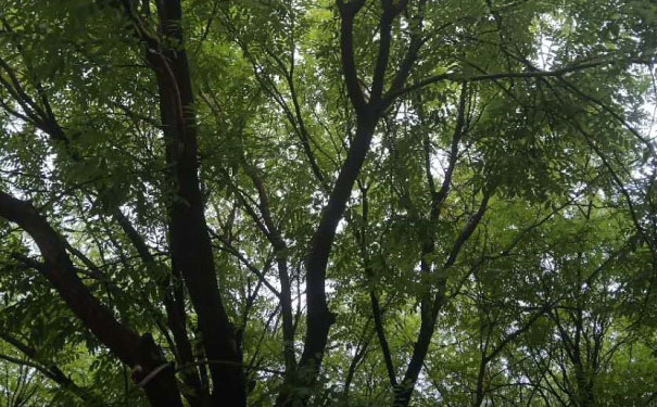 江门蓬江区青少年英语培训班