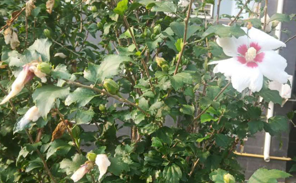 常州青少年英语培训班