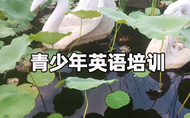 南昌红谷滩青少年英语培训班