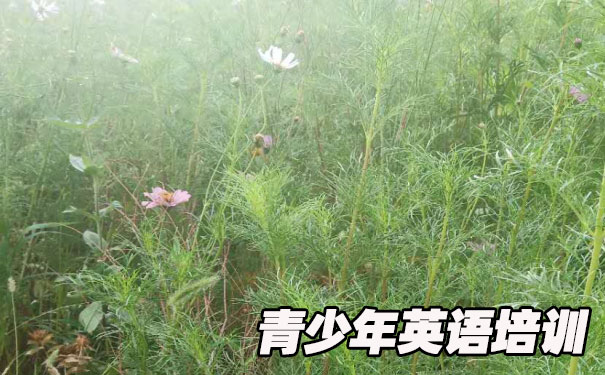 重庆渝中区青少年英语培训班