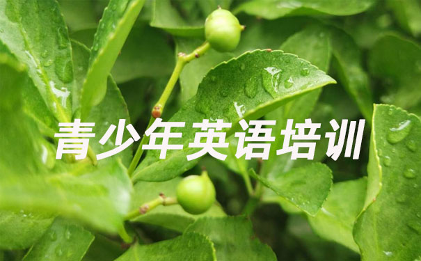 成都武侯区青少年英语培训班