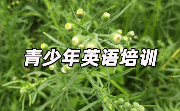 汕头青少年英语培训班