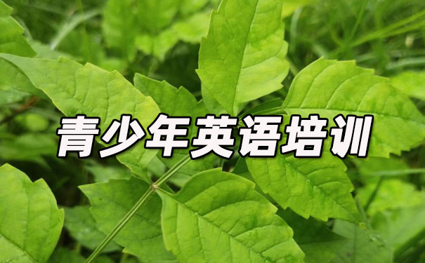 大连青少年英语培训班