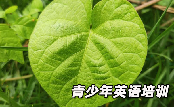 大连沙河口区青少年英语培训班