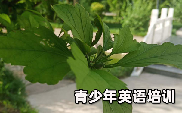 大连开发区青少年英语培训班 