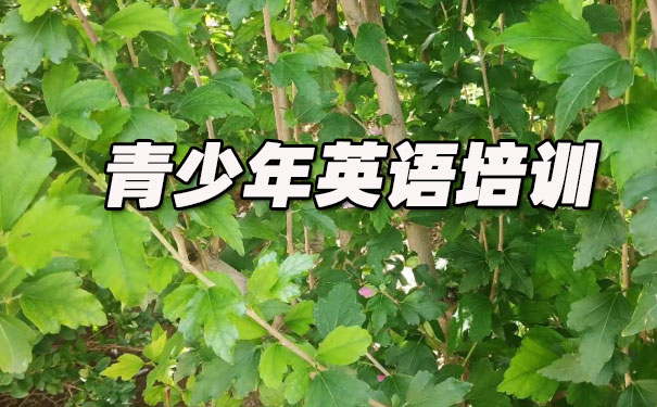 福州青少年英语培训班