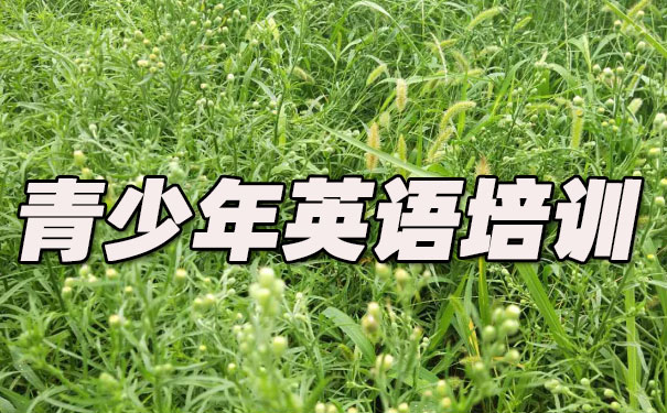 杭州青少年英语培训班